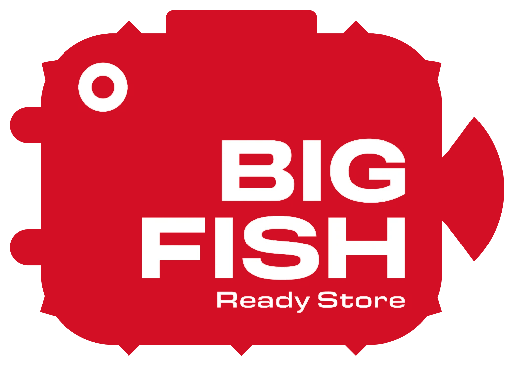 BIG FISH SMART STORE